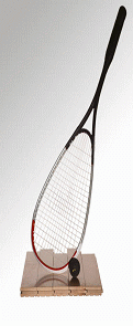 racquet